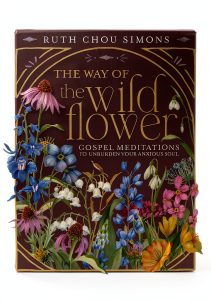 Thomas Nelson Christian Living Book Kindle Edition-0