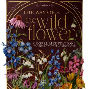 Thomas Nelson Christian Living Book Kindle Edition-0